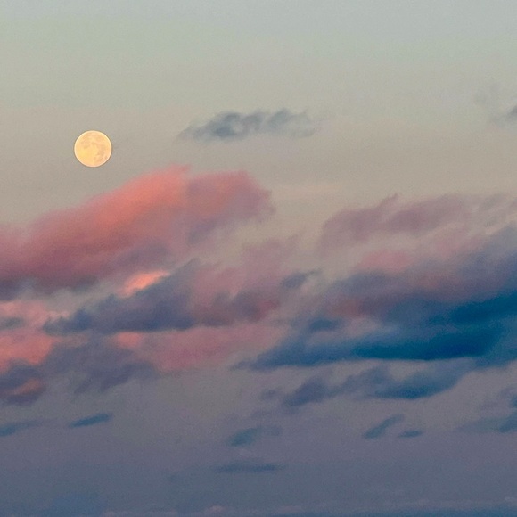 Meet your Posher, Carmen - Picture 1 of 1